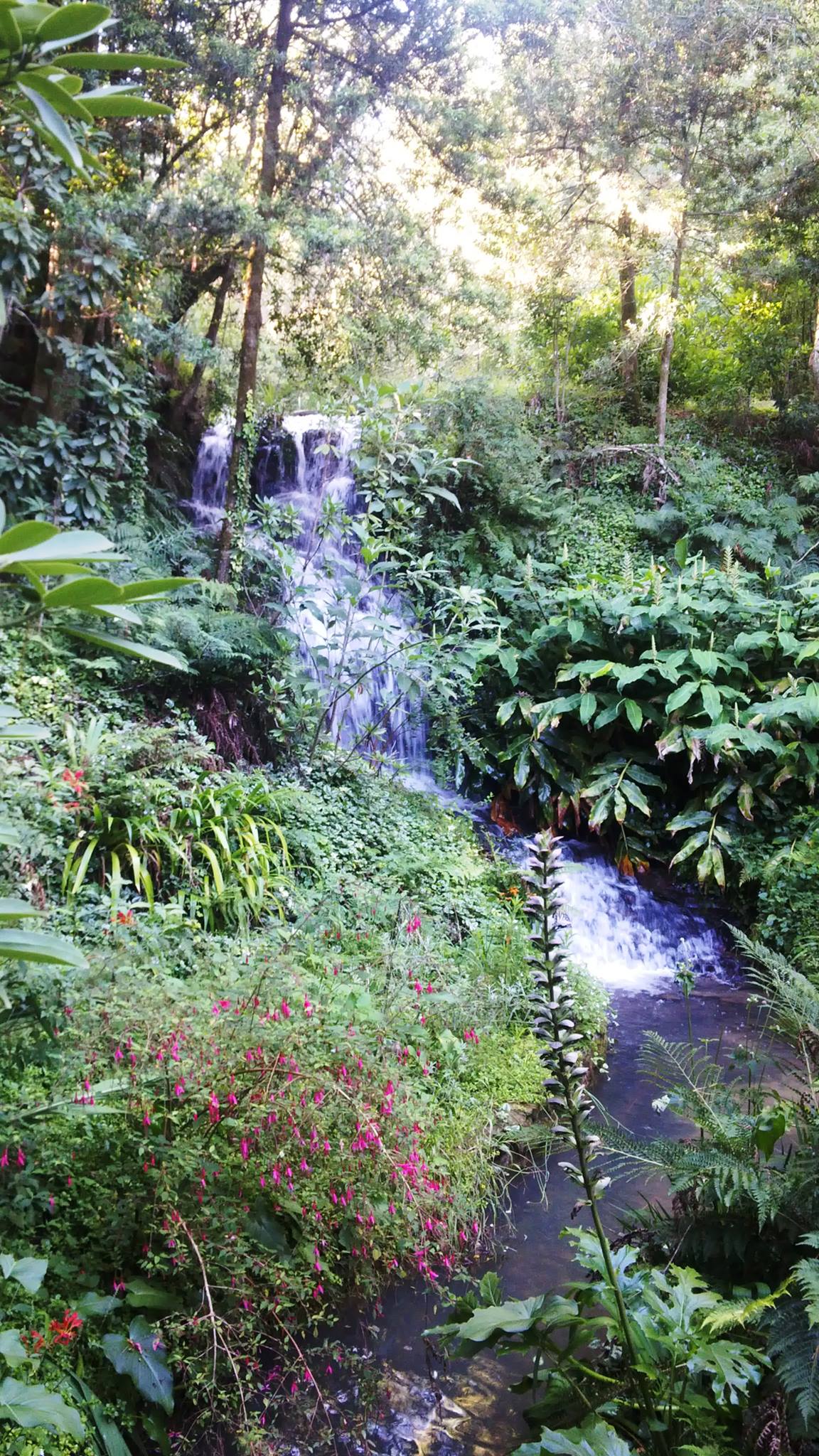 Applegarth Gardens view